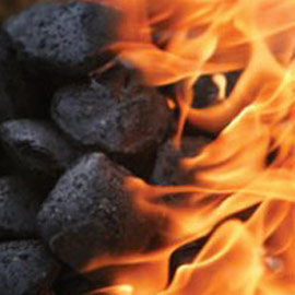 RHV International Activities